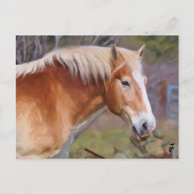 Portrait of a Work Horse Postcard (Front)
