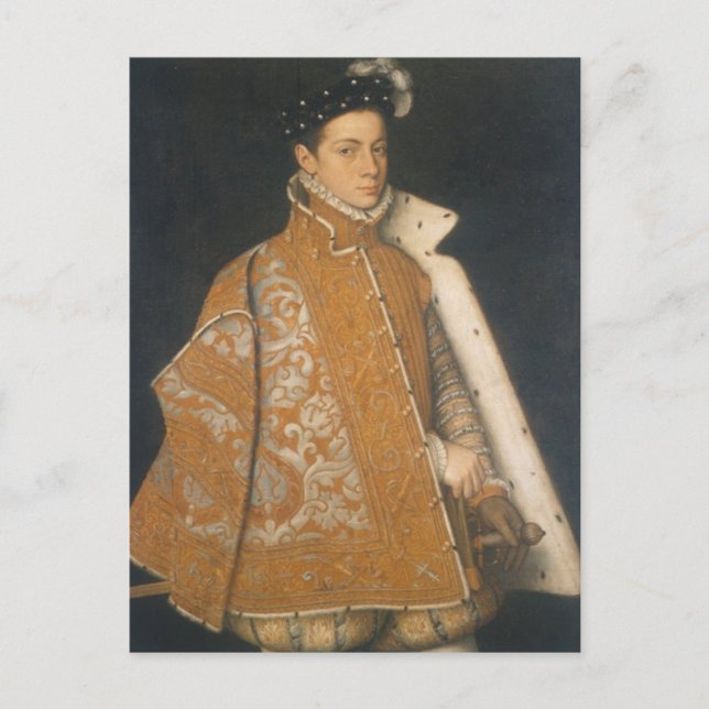 Portrait of a Young Man by Sofonisba Anguissola Po Postcard (Front)