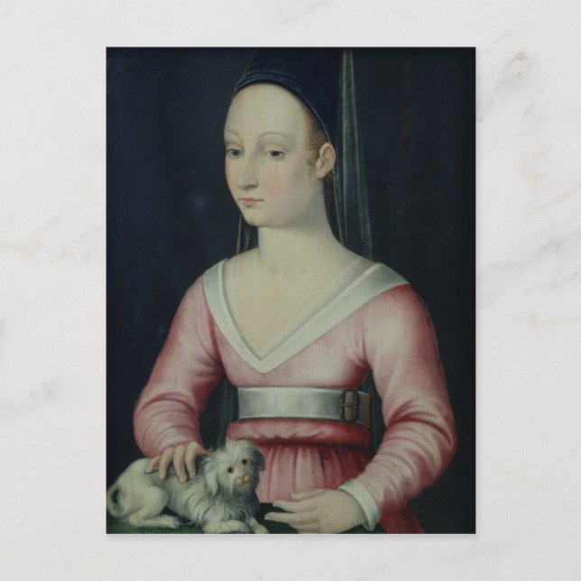 Portrait of Agnes Sorel Postcard (Front)