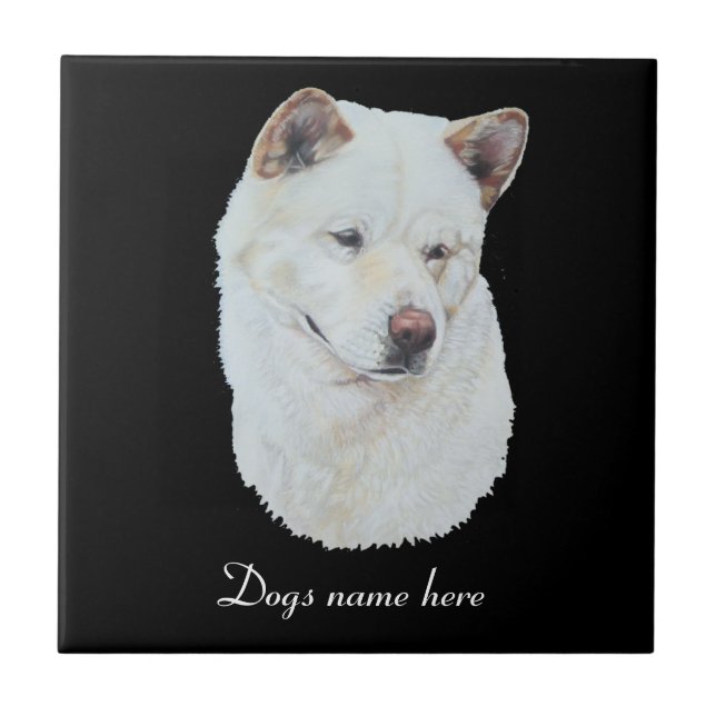portrait of amazing beautiful white akita dog tile (Front)
