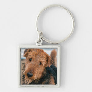 Portrait of an Airedale Terrier 2 Key Ring