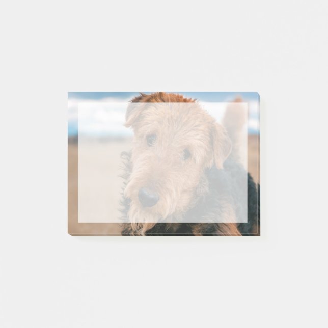 Portrait of an Airedale Terrier Post-it Notes (Front)