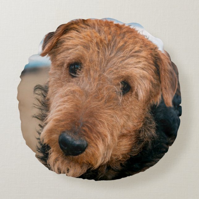 Portrait of an Airedale Terrier Round Cushion (Front)