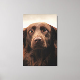 Portrait of an apprehensive young female canvas print