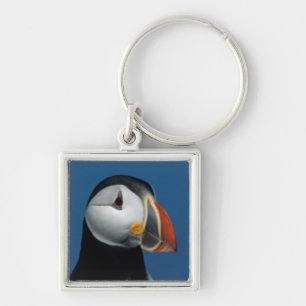 Portrait of an Atlantic Puffin Key Ring