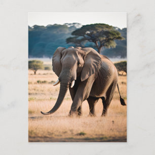 Portrait of an Elephant Postcard
