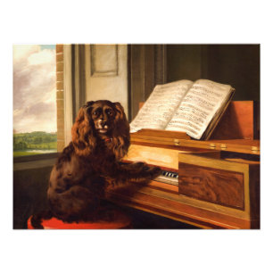 Portrait of an Extraordinary Musical Dog Photo Print
