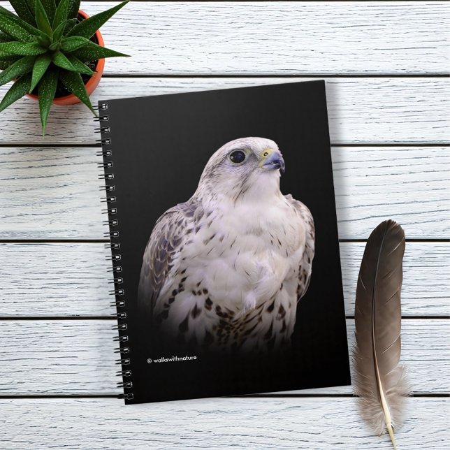 Portrait of an Inquisitive Saker Falcon Notebook (Vignette Profile of a Saker Falcon Journal Cover Photo)
