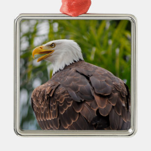 Portrait of bald eagle metal tree decoration