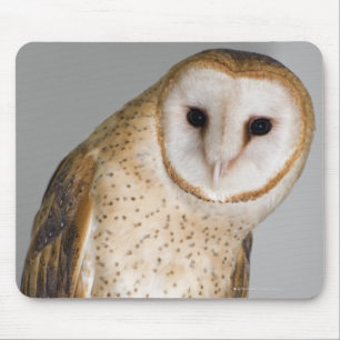 Portrait of barn owl (Tyto alba). Mouse Pad