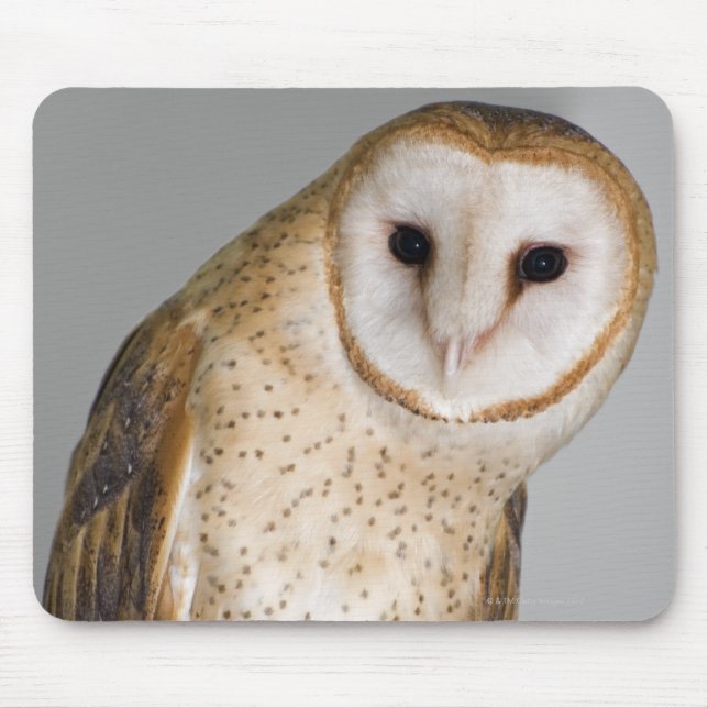 Portrait of barn owl (Tyto alba). Mouse Pad (Front)