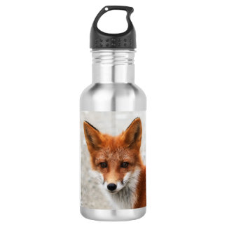Portrait of beautiful wild red fox 532 ml water bottle