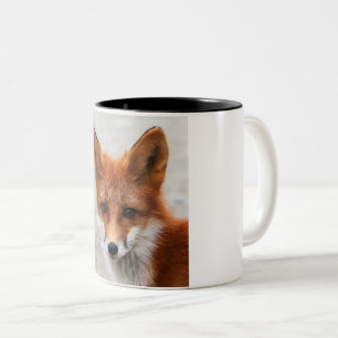 Portrait of beautiful wild red fox Two-Tone coffee mug