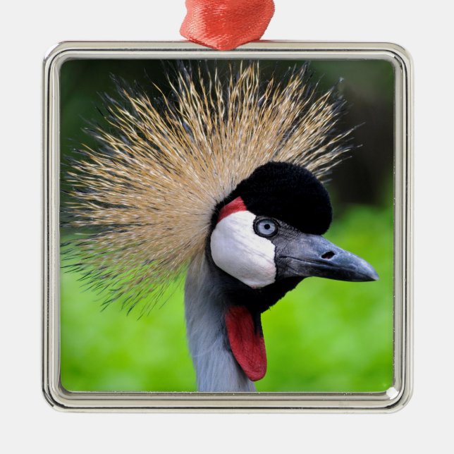 Portrait of Black Crowned Crane Metal Tree Decoration (Front)