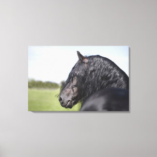 portrait of black horse with long mane canvas print