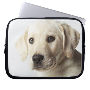 Portrait of blonde Labrador Retriever Puppy Laptop Sleeve
