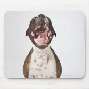 portrait of boxer dog yawning mouse pad
