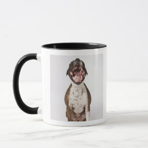 portrait of boxer dog yawning mug