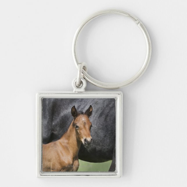 portrait of brown foal key ring (Front)