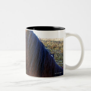 Portrait of brown horse on cold day Two-Tone coffee mug