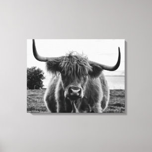 Portrait of bull canvas print