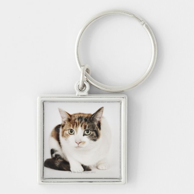 Portrait of Calico cat Key Ring (Front)