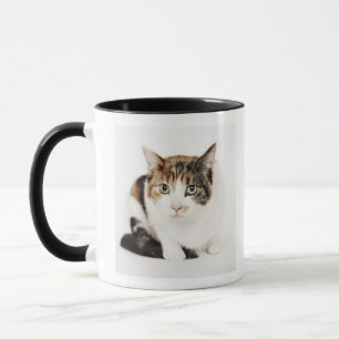Portrait of Calico cat Mug
