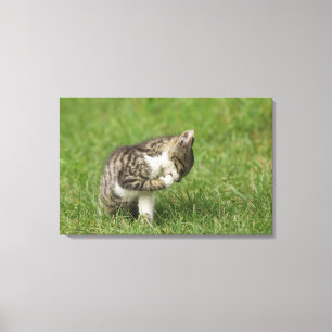 Portrait of Cat Canvas Print