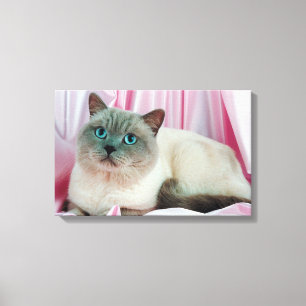 Portrait of cat canvas print