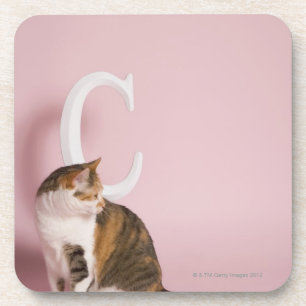 Portrait of cat coaster