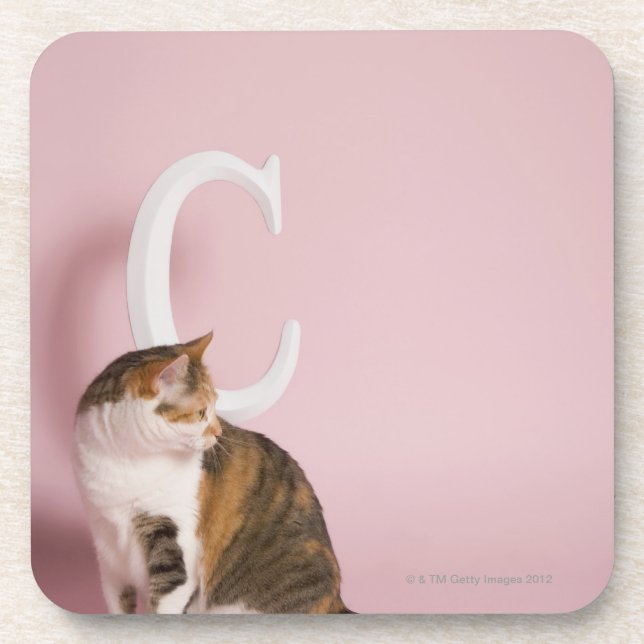 Portrait of cat coaster (Front)