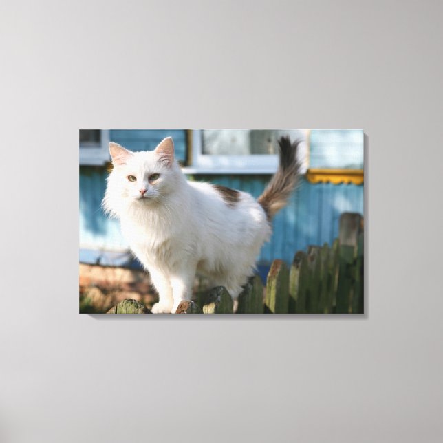Portrait of cat on fence canvas print (Front)