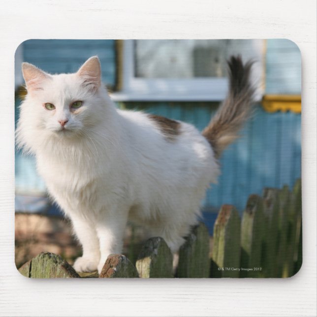 Portrait of cat on fence mouse pad (Front)