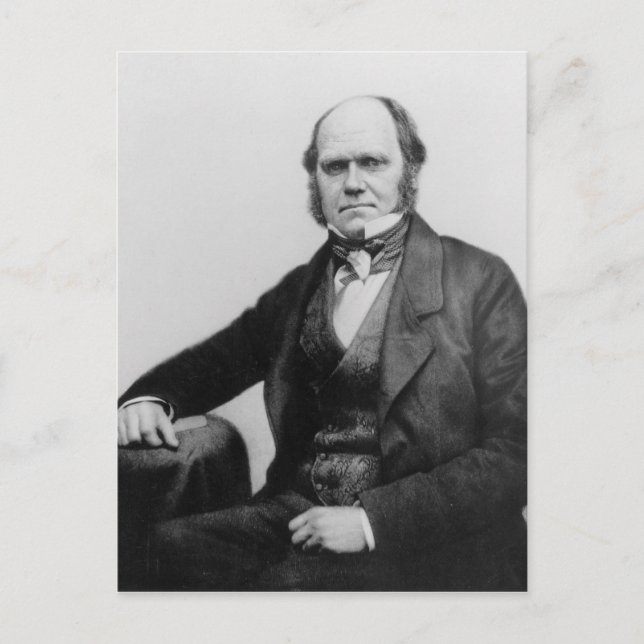 Portrait of Charles Darwin, 1854 Postcard (Front)