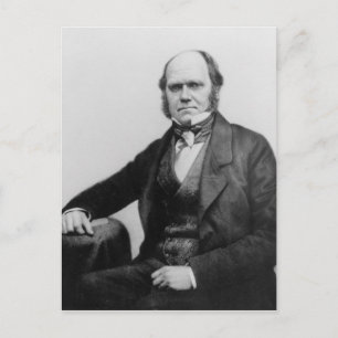 Portrait of Charles Darwin, 1854 Postcard