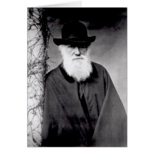 Portrait of Charles Darwin  1881