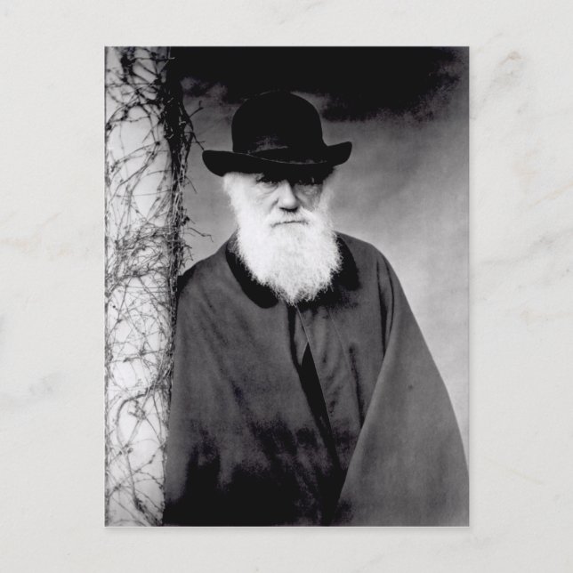 Portrait of Charles Darwin  1881 Postcard (Front)