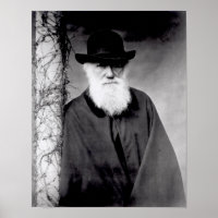 Portrait of Charles Darwin  1881