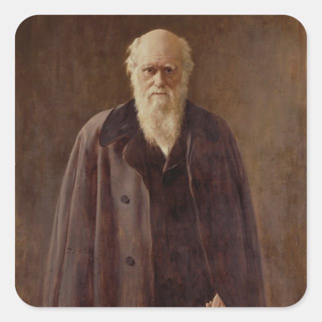 Portrait of Charles Darwin  1883 Square Sticker (Front)