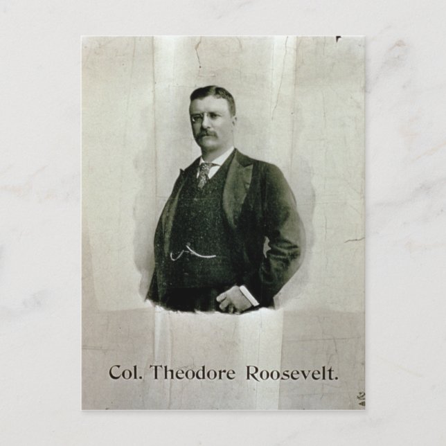 Portrait of Colonel Theodore Roosevelt (litho) Postcard (Front)