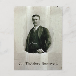 Portrait of Colonel Theodore Roosevelt (litho) Postcard