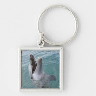 Portrait of Common Bottlenose Dolphin, Caribbean Key Ring