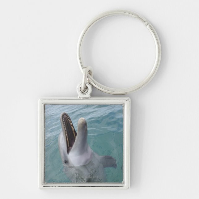 Portrait of Common Bottlenose Dolphin, Caribbean Key Ring (Front)