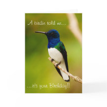 Portrait of Contemplation Birthday Greeting Card