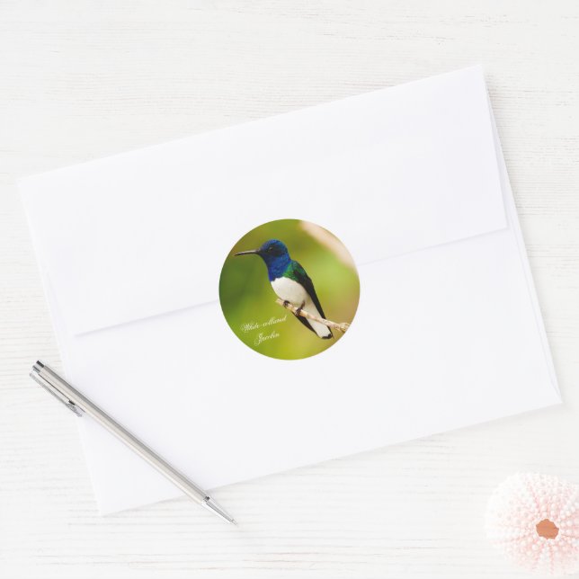 Portrait of Contemplation Round Stickers (Envelope)