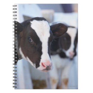 Portrait of cow spiral notebook