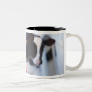 Portrait of cow Two-Tone coffee mug