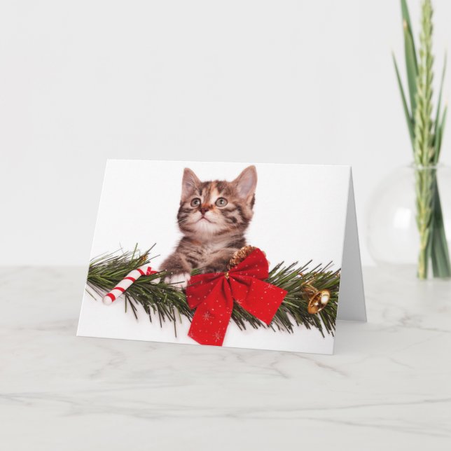 Portrait Of Cute Christmas Kitten Holiday Card (Front)