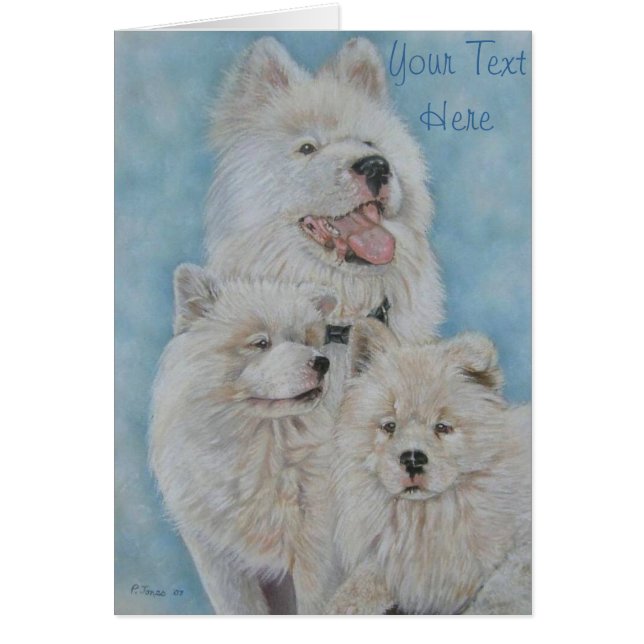 portrait of cute white long coat akita dog (Front)
