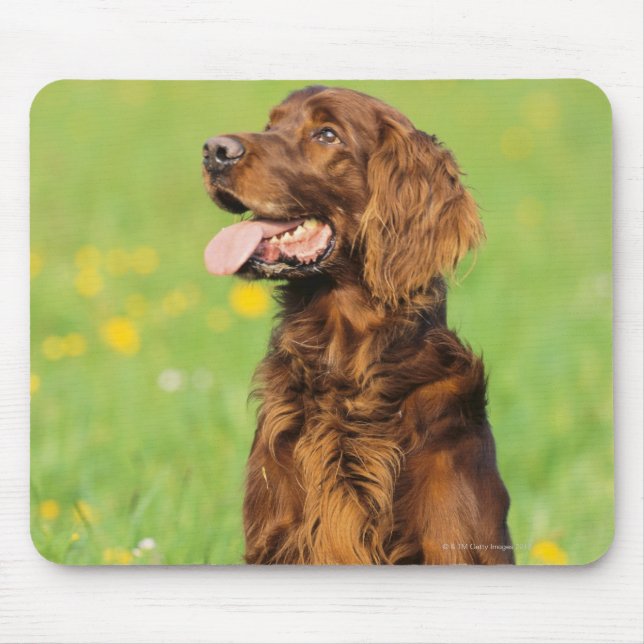 Portrait of Dog 2 Mouse Pad (Front)